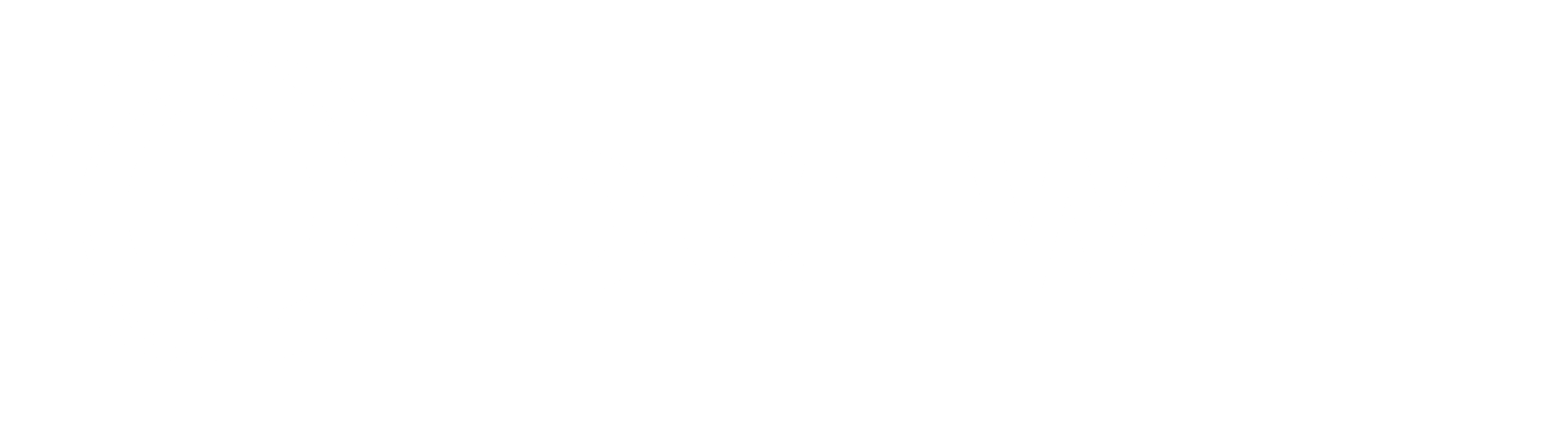 OCTWISE